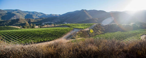 California