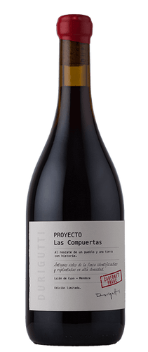 Poyecto Las Compuertas Cabernet Franc